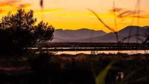 couche de soleil camping Fréjus